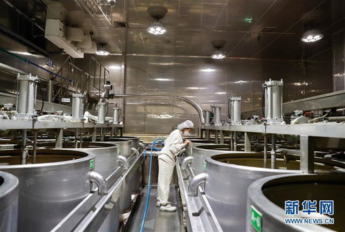 探訪進博會參展商 韓國綠色食品企業圃美多的豆腐工廠